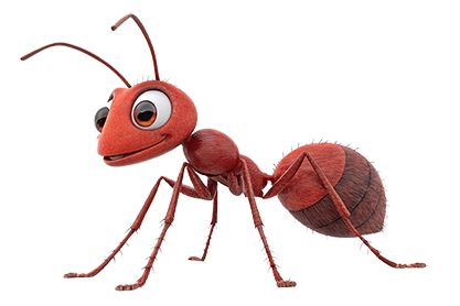 ant for represent our branding agency dubai